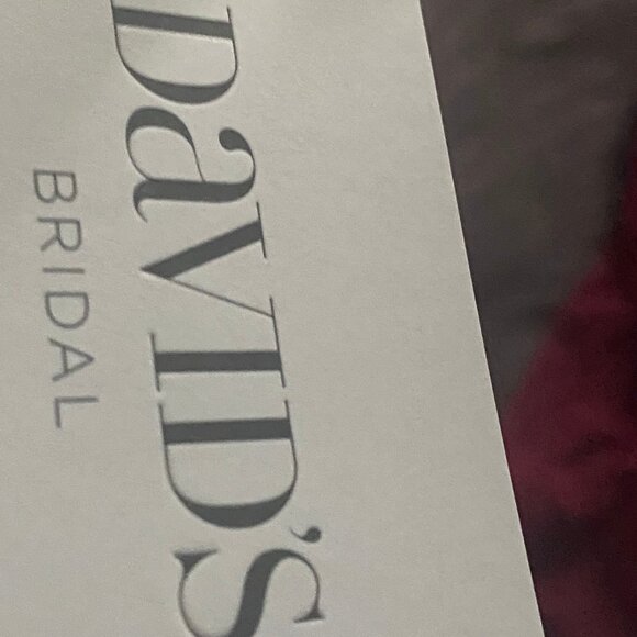 Lace over Nude A-Line Bridal Gown, so Lightweight! David's Bridal size 6 - Picture 2 of 4